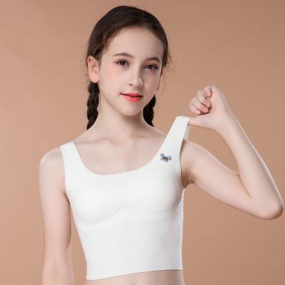 China Custom One Piece School Girl Bra Teen Girls Wearing Bras Padded Removeable Girls Bra for sale