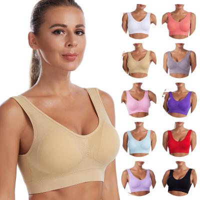 China QUICK DRY Wire Free Gathering Comfort Women's Seamless Padded Bra Removeable Padded Bra Women Bra for sale