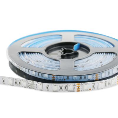 China 24V DC12V LANDSCAPE flexible led strip light RGB SMD outdoor pixel strips led strip 5050 rope strip light for sale