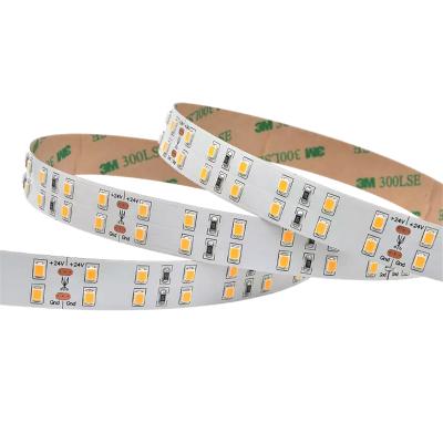 China interior & Double Row SMD 2835 DC12V 24V Double Row PCB 5m 2700k 6000k Warm White LED Strip Light Outdoor 240LEDs/m for sale