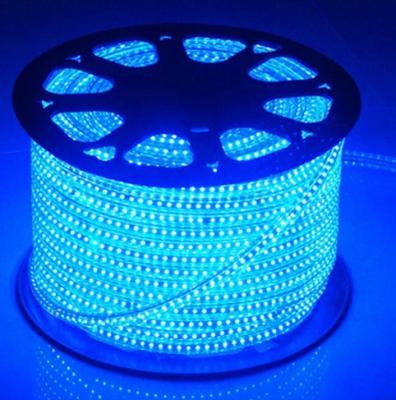 China Theme Park 220v 110v Led Strip 5mm/8mm/10mm High Voltage Flexible Led Strip Cord 110v 220v Led Strip Flexible Led Strip for sale