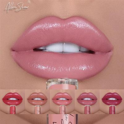 China Custom Cream Matte Liquid Lipstick Lasting Colored Waterproof Sunscreen Tint Lip Gloss MACTING Logo Privately Label Sexy High for sale