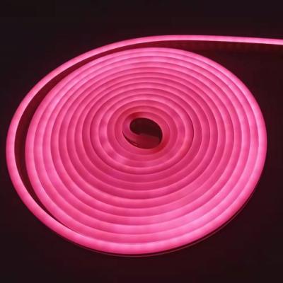 China Garden decoration led strip cable 2835 120leds 12VDC silicone tube waterproof neon led strip light for sale