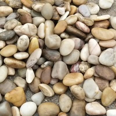 China Wholesale Modern Garden Rock Pebble Stone River For Decoration for sale