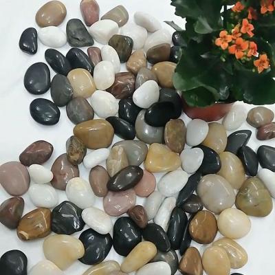 China Modern wholesale natural natural pebble polished stone for pot for sale