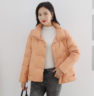 China 2022 New Arrival Breathable Winter Shorts Casual Loose Plus Size White Duck Down Jacket Women's Long Sleeve Down Jacket for sale