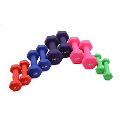 China More Wear Resistant Cheap Cast Iron Dumbells Hex Dumbbel Weight 1-10kg Fast Delivery In Stock for sale