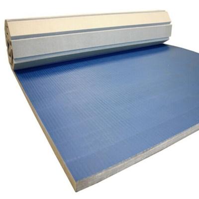 China Lightweight Outdoor PVC Exercise Roll-out Tatami Tatami Roll-out Eco-friendly Gym Mat for sale