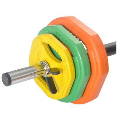 China Colored Weightlifting Grips Weightlifting Plate Two Holes Rubber Bumper Plate for sale