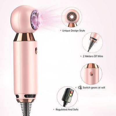 China Ionic Suitable For Ion Hotel Plug-in Portable Hair Dryer Household Professional Hair Dryer for sale