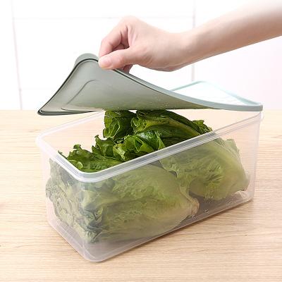 China Manufacturer Wholesale Fashion Refrigerator Kitchen Food Rice Weed Food Kitchen Egg Refrigerator Storage Boxes for sale