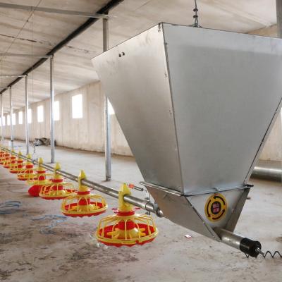 China High Quality Chicken House Poultry Equipment Automatic Chicken Feeder for sale