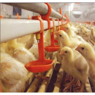 China Drinking Line Good Price Layer Chicken Nipple Chicken Farming Automatic Poultry Equipment For Sale for sale