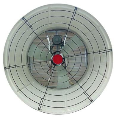 China Farms Fiberglass Cone Exhaust Fan For Poultry And Pigsty Fan for sale