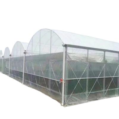 China Stable Structure Easily Assembled China Custom Wholesale Commercial Plastic Film UV Resistant Multi Span Tunnel Greenhouses for sale