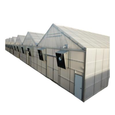 China Stable Structure Easily Assembled 30 X 100 200 Micron Circulation Agricultural Agricultural Greenhouse UV Plastic Fan Greenhouse for sale