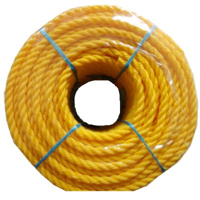 China PE 3 Strand Twisted Polyethylene Woven Twine Plastic Rope for sale