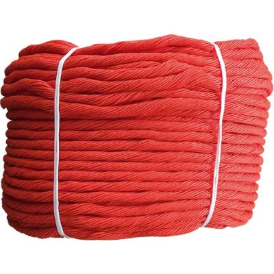 China High Quality PE Twisted Twine Clothesline Clothes Rope 100ft Assorted Color for sale