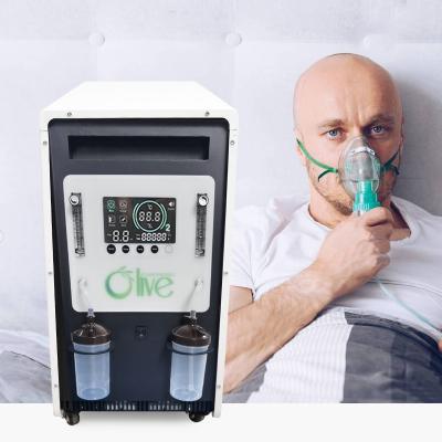 China Channel Medical Device Dual Oxygen Concentrator Hospital And India Peru Homecare 20 Liter for sale