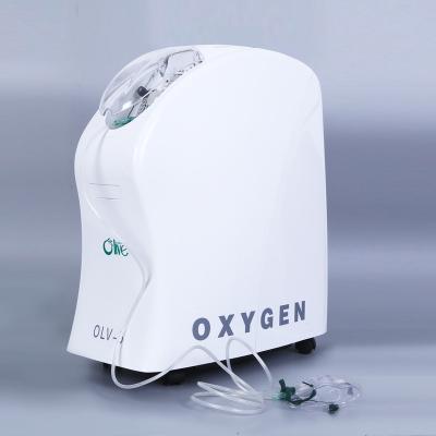 China ISO India Hospital Oxygen Concentrator 5l OEM CE Olive 8l 10 Liter Zeolite Strainer for sale