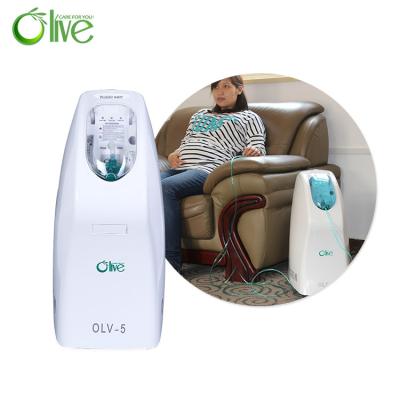 China India Peru Electric Oxygen Concentrator 10 Litr 24 Hours Medical Portable Machine for sale