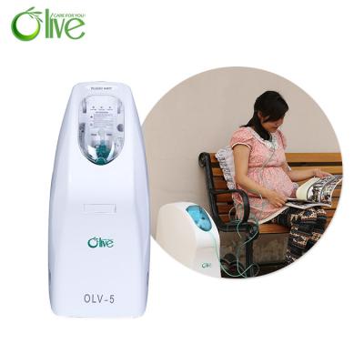 China 24 Hours Supply 96% Portable Medical Oxygen Concentrator 5L 10L Built-In Nebulization for sale