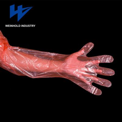 China Food Preparing Cheap Disposable Pro Care Long Pe Veterinary Glove for sale