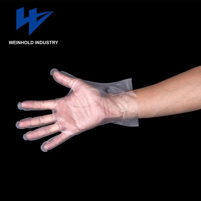 China Food Preparing Strip Disposable Transparent Gloves Excellent Quality for sale