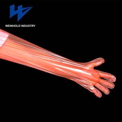 China liquid-resistant high quality disposable grade transparent plastic pe examination red color plastic glove for sale