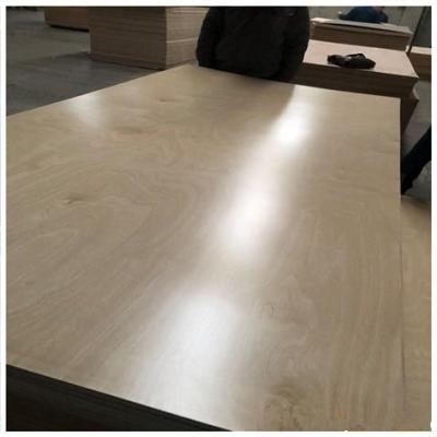 China Full traditional high grade birch UV coated plywood for cabinet / birch plywood for laser cutting for sale