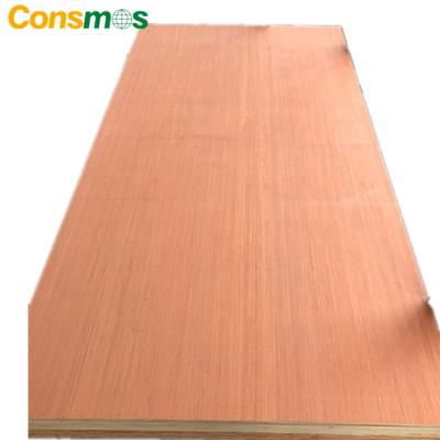 China Poplar plywood core BB/CC traditional red keruing commercial grade plywood plywood for packing for sale