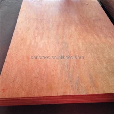 China Commercial china plywood/2.6mm meranti hardwood plywood /okoume red bintangor plywood for sale