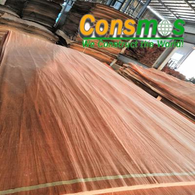 China Modern Linyi okume plywood bintangor / natural white reconditioned birch PLB veneer PA / et EV face for plywood for sale