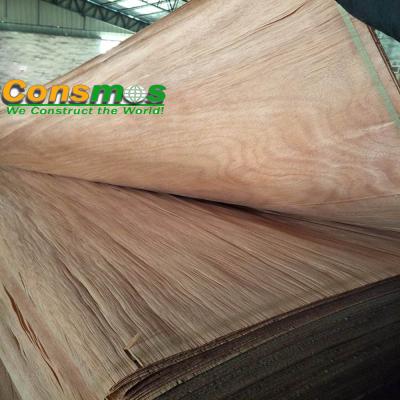 China Contemporary Quality PLB Face Veneer For Plywood, A, B, C, D Grade for sale