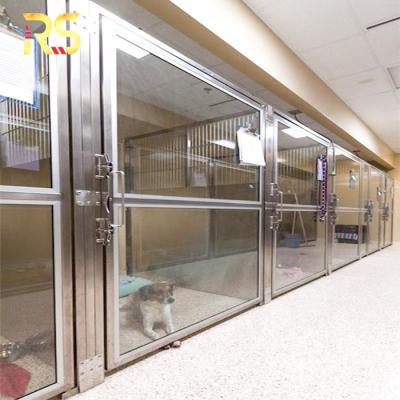 China Modern High Quality Pet Shop Interior Steel Door With Glass for sale