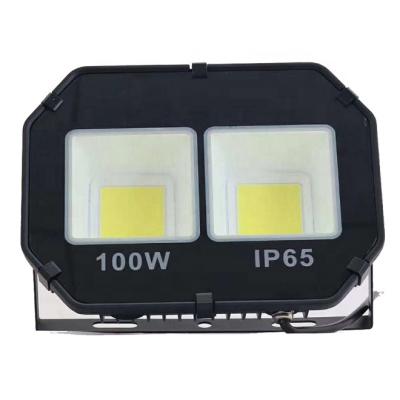 China LANDSCAPE 220V 240 Volt IP65 100W Outdoor LED Flood Lamp for sale