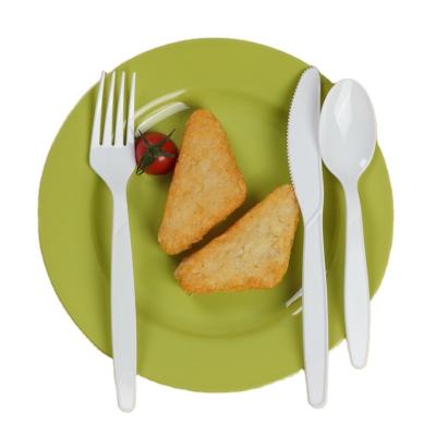 China Party Degradable Disposable Tableware And Tableware Set Bulk Disposable Knife for sale