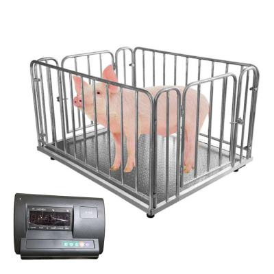 China Digital Design Philippines Livestock Floor Stable Popular Electronic Animals Performance Weighing Scale For Sale for sale