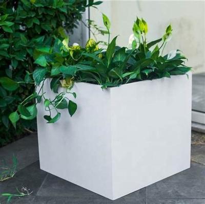 China Foshan City Modern Hot Selling White Square Container Box Bowl Planting Flower Pots for sale