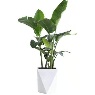 China Simply cheap and practical irregular shape magnesium clay flowerpot in hotel for sale