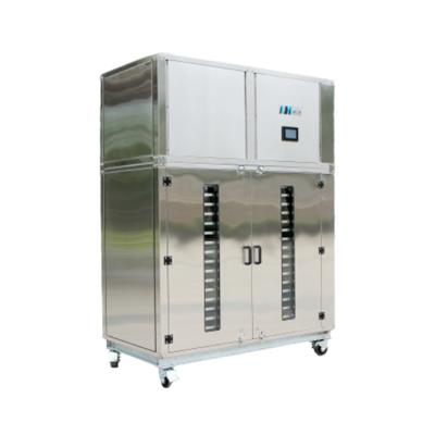 China Energy Saving AIM Heat Pump Plant Mango Dryer Commercial Dehydrator Machine 75% Vegetable Fruit For for sale