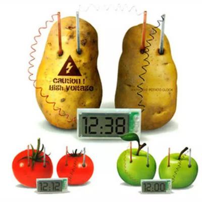 China Antique Style Lelyi Novetly Toys Potato Electricity Experiment Set Potato Battery Clock for sale