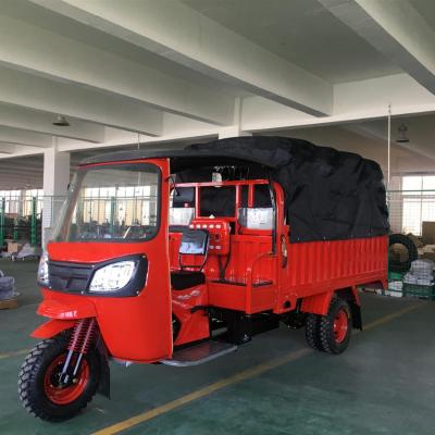 China Cargo OEM ODM push dutu 20cc 250cc gasoline motorized 3 wheel cargo tricycle for cargo delivery for sale