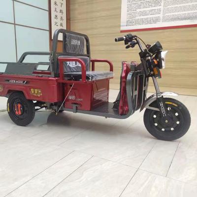 China Hot Selling Globally Electric Cargo Trike Electric Tricycle Excellent For Elderly Or Handicapped Leisure for sale