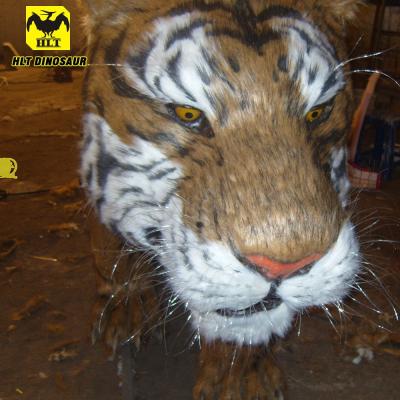 China Decorative animatronic beast-tiger amusement park HLT king in amusement park or outdoor or zoo for sale