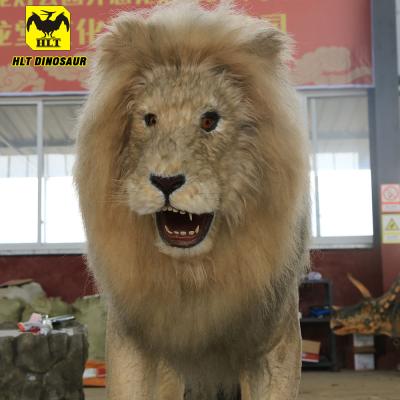 China interior & Outdoor Park HLT Robot Lion Wlidlife Jungle Animatronic Animal Model for sale