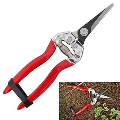 China Steel Telescopic Anti-skid Handle Bypass Bonsai Tree Hand Garden Tools Grafting Pruner Scissors Shears for sale