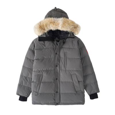 China Custom Made Anti-wrinkle Mens Winter Coyote Fur Filled Hooded Waterproof Quilted Canada Parka for sale