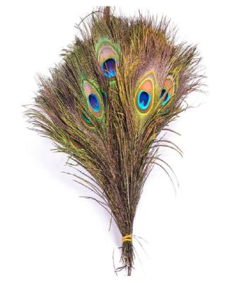 China Natural Party Supplies Wholesale Cheap Artificial Peacock Feathers for sale