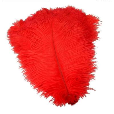 China Decorations wholesale high quality cheap red bulk large ostrich feather for sale